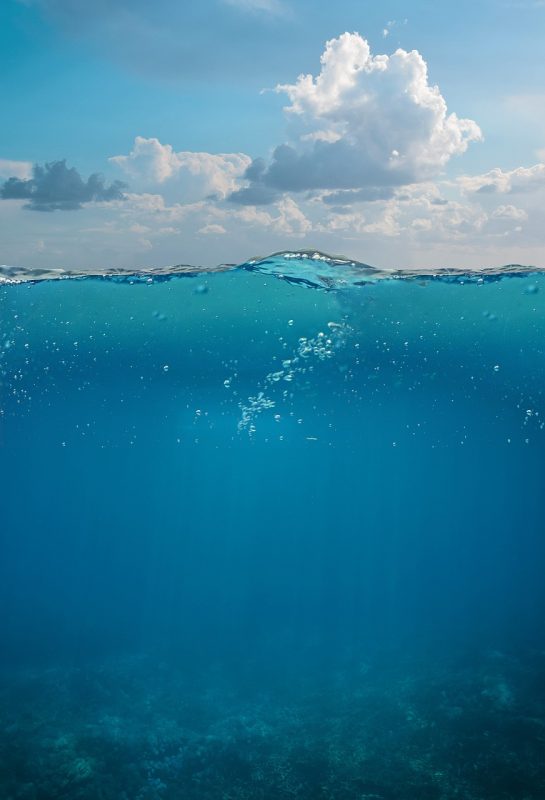 underwater, sea, wave, sky, seabed, diving, nature, swim, animal, underwater world, deep, underwater, underwater, underwater, underwater, underwater, sea, sea